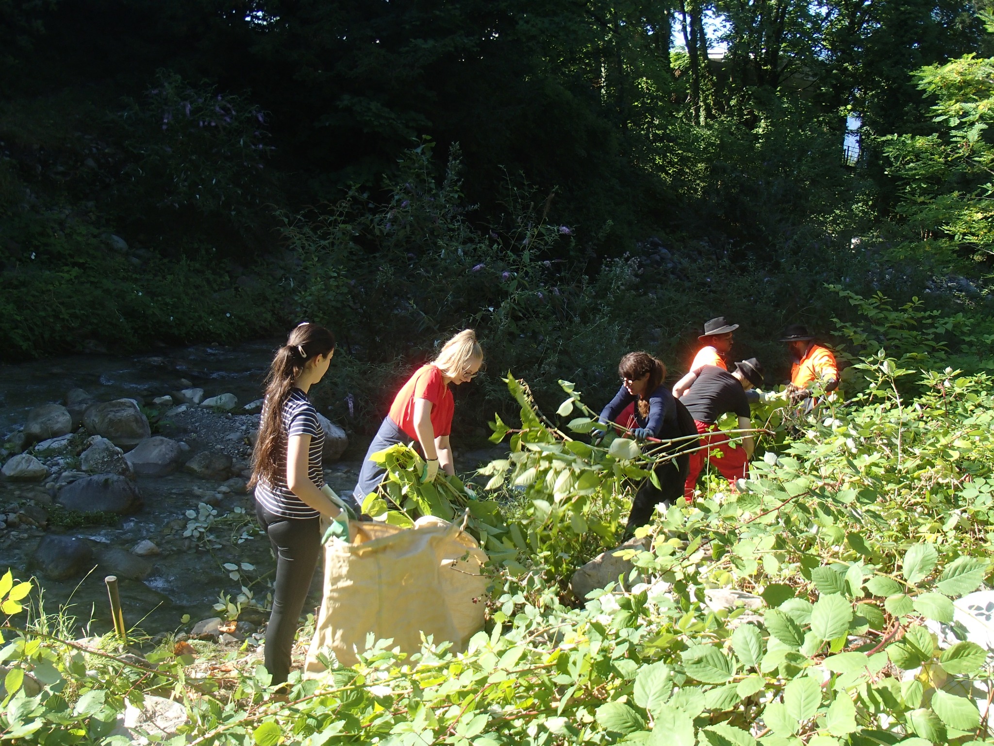 Les bénévoles de l'Association pour la Sauvegarde du Léman et les requérants de l'EVAM lors d'une opération "Halte aux renouées" à la Baye de Clarens. Crédit : ASL